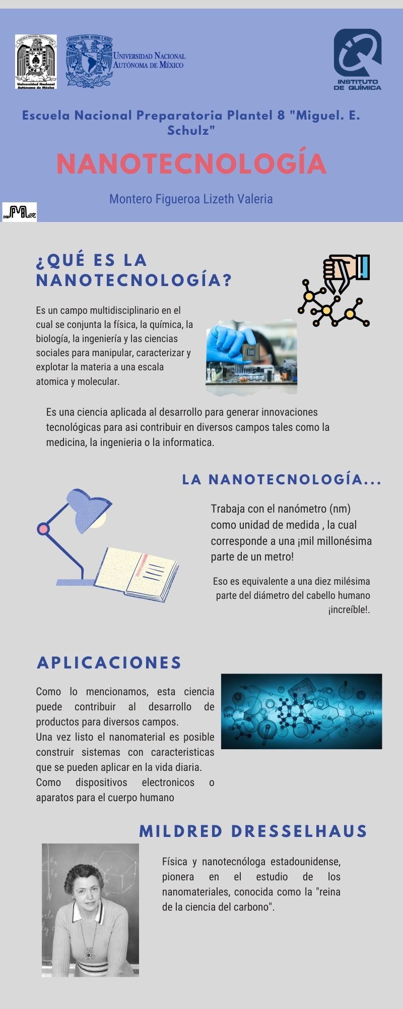 Nanotecnolog A Aniversario Estancias De Investigaci N Iq